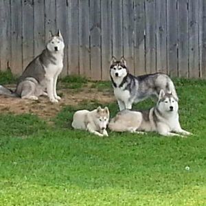 Meet your Posher, Garrett